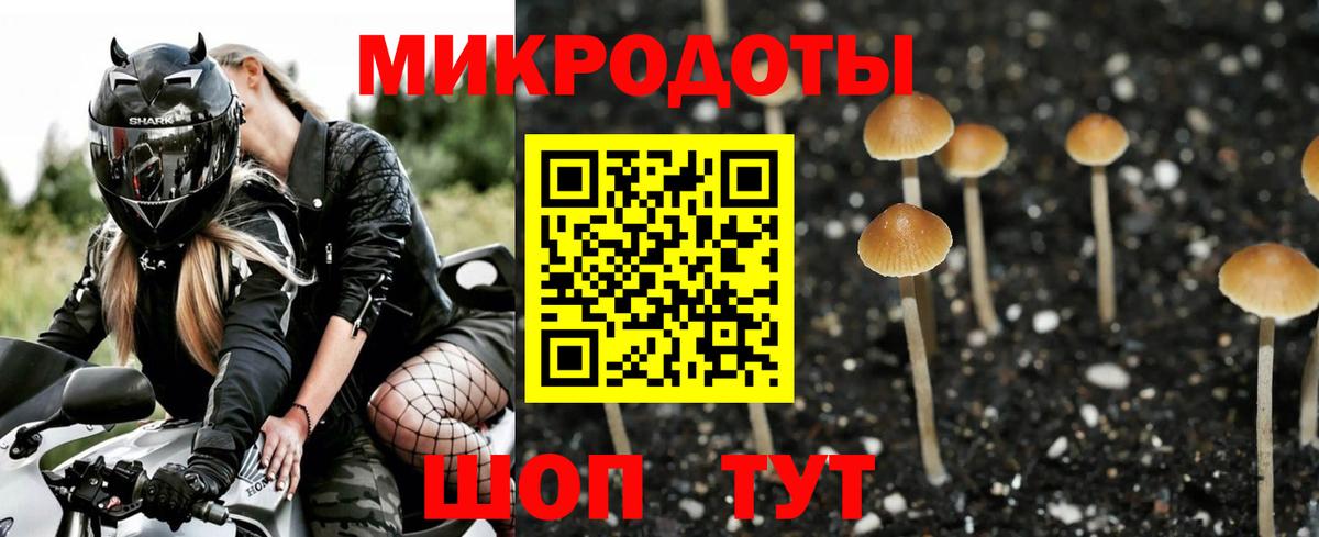 Псилоцибиновые грибы Cubensis Салават